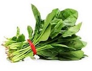 Spinach