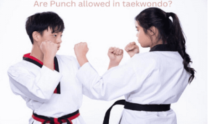Punch In Taekwondo 
