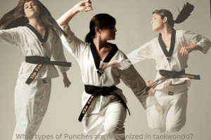 What types of Punches are recognized in taekwondo?