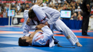 taekwondo vs jiu jitsu