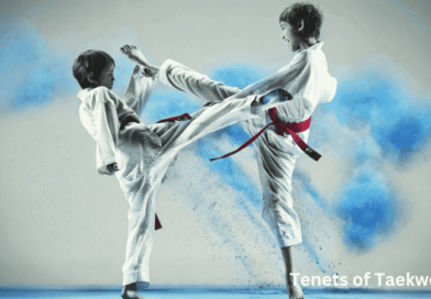 Journeying on the Path of Discipline: Revealing the Tenets of Taekwondo
