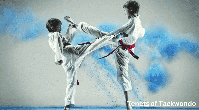 Journeying on the Path of Discipline: Revealing the Tenets of Taekwondo