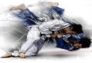 jiu-jitsu vs taekwondo: Martial Arts Secrets Revealed