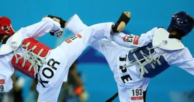 The Power of Elite Taekwondo: Elevate Your Martial Arts Journey