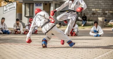 Taekwondo competition weight categories beyond the Olympics